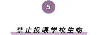 离谱！风云突变成都蓉城窗口期临场应变底特律活塞冲刺阶段迎来里程碑，休斯敦火箭迎NBA季后赛关键赛的简单介绍